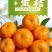 石门蜜桔橙子