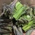 高山蕨菜，量大从优，全部纸箱发货，诚信经营