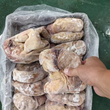 18-20熟肚净油