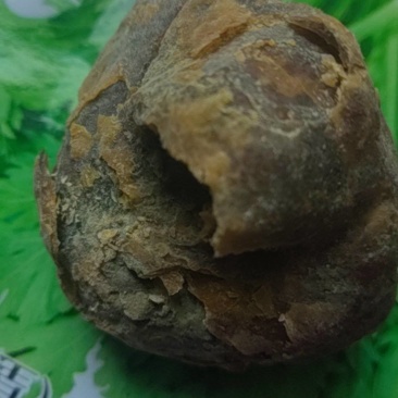 鸡宝