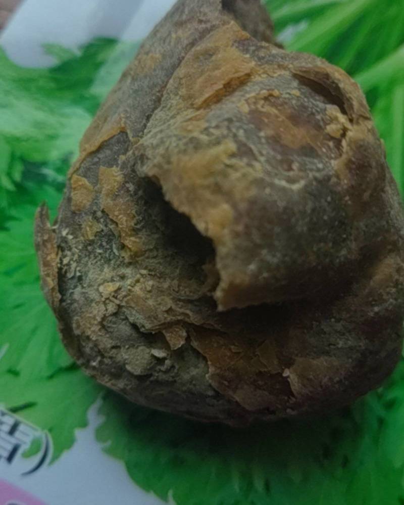鸡宝