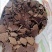 农家现榨菜籽饼枯1元一斤，肥田饲料好帮手，经济实惠