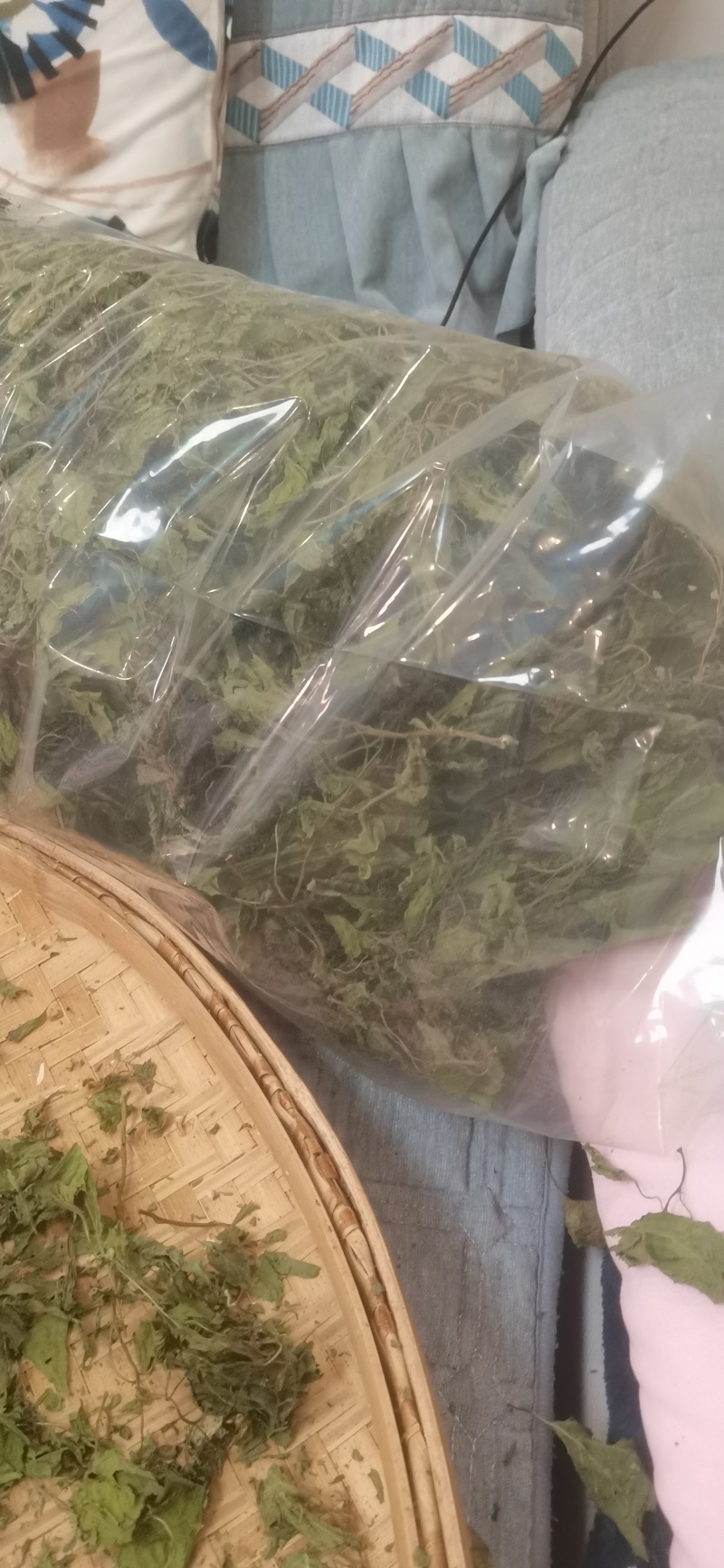 鲜干白花菜
