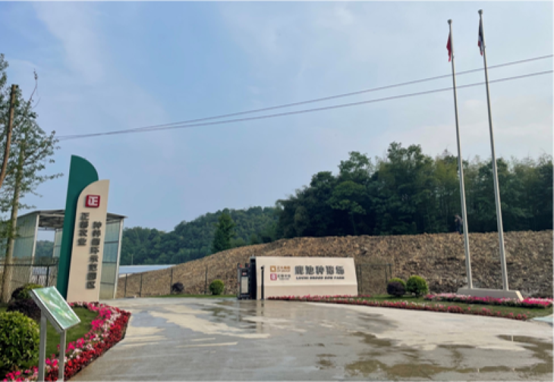 大口鲶，绿壳鸡蛋