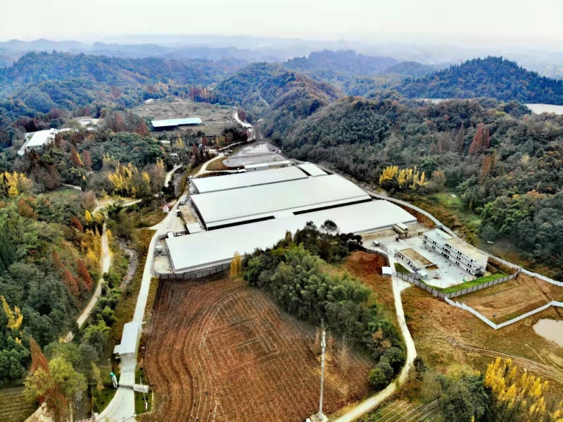 大口鲶，绿壳鸡蛋