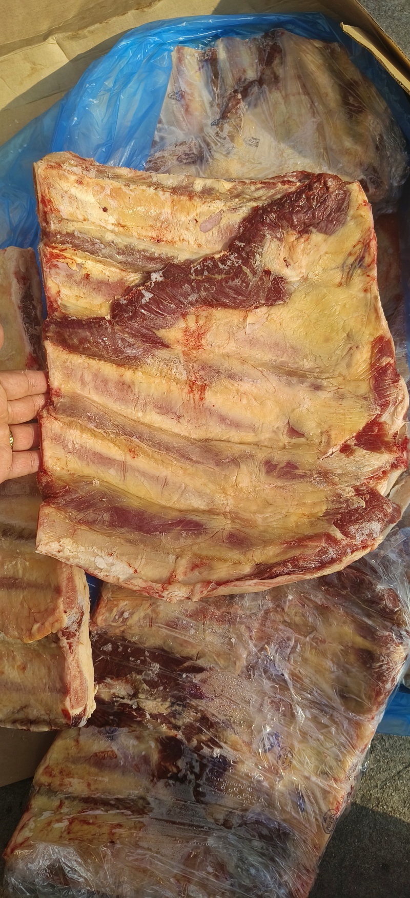 132厂牛小排24年6月新货每一片都是独立包装可发样品