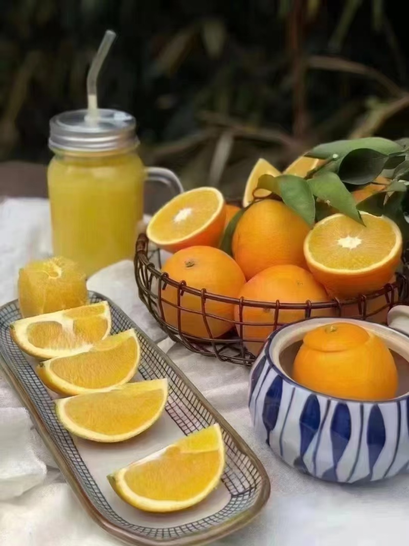 脐橙血橙