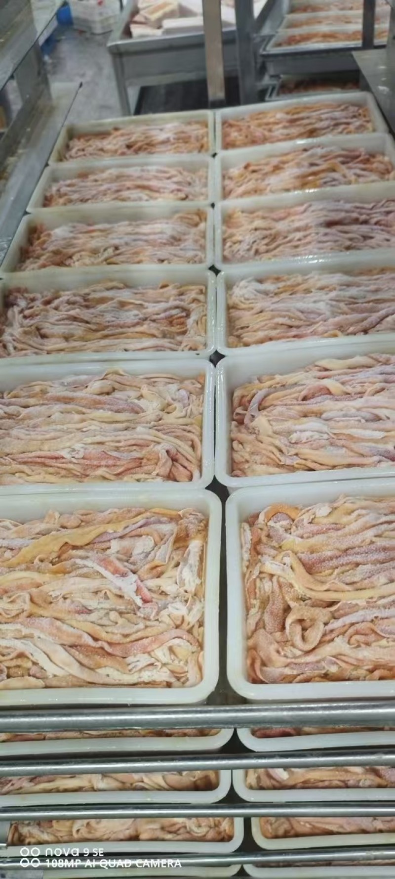 黄金鸡肠