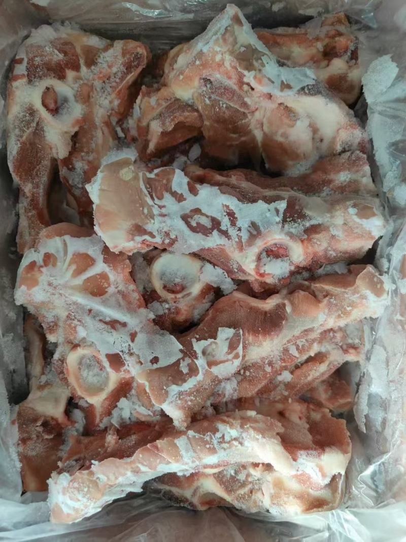 国产多肉尾叉骨