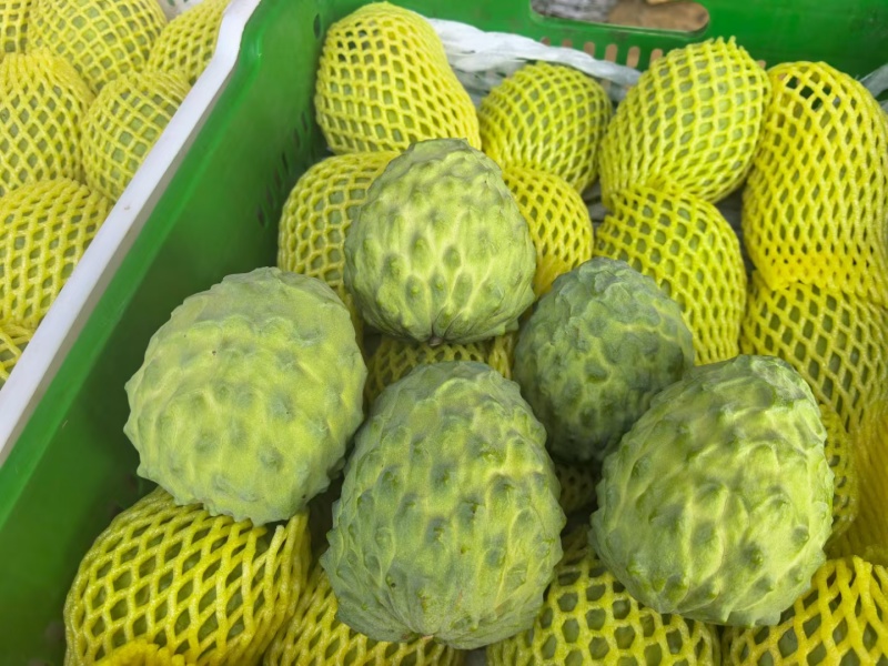凤梨释迦果