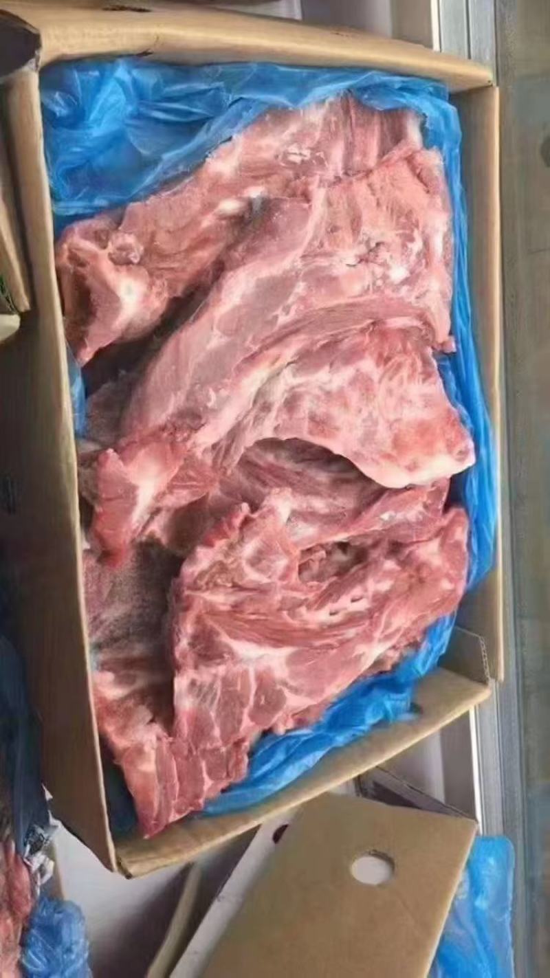 3935多肉胫骨