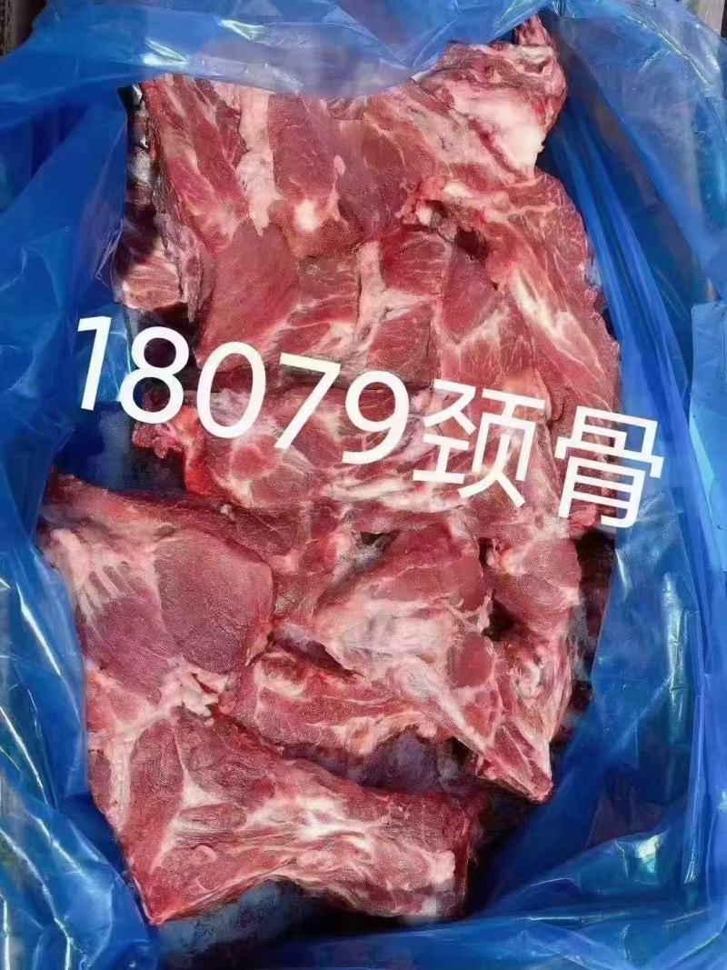 美国18079胫骨