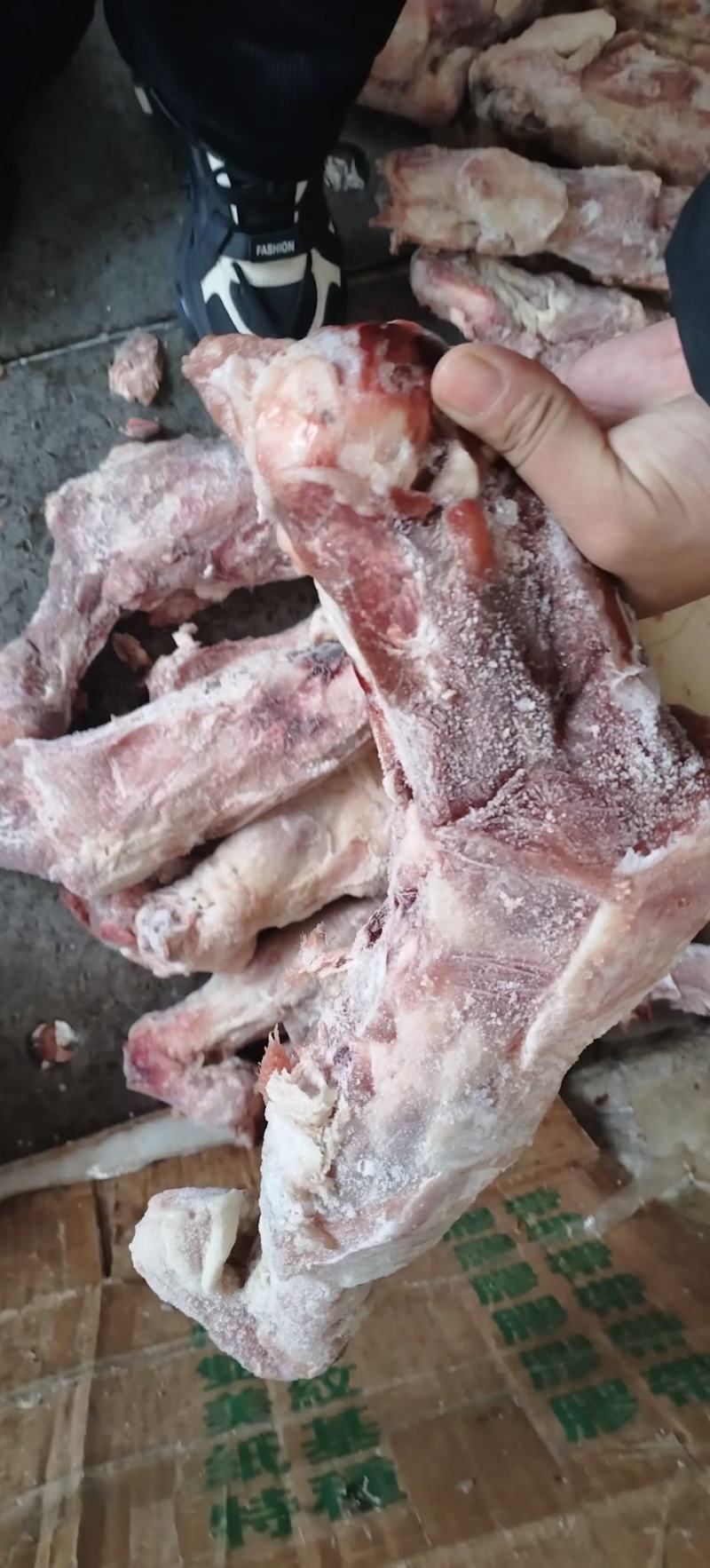 佳乐带腱前腿骨块