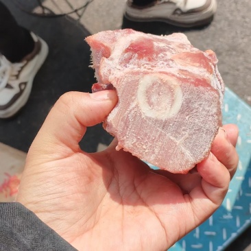 佳乐带腱前腿骨块
