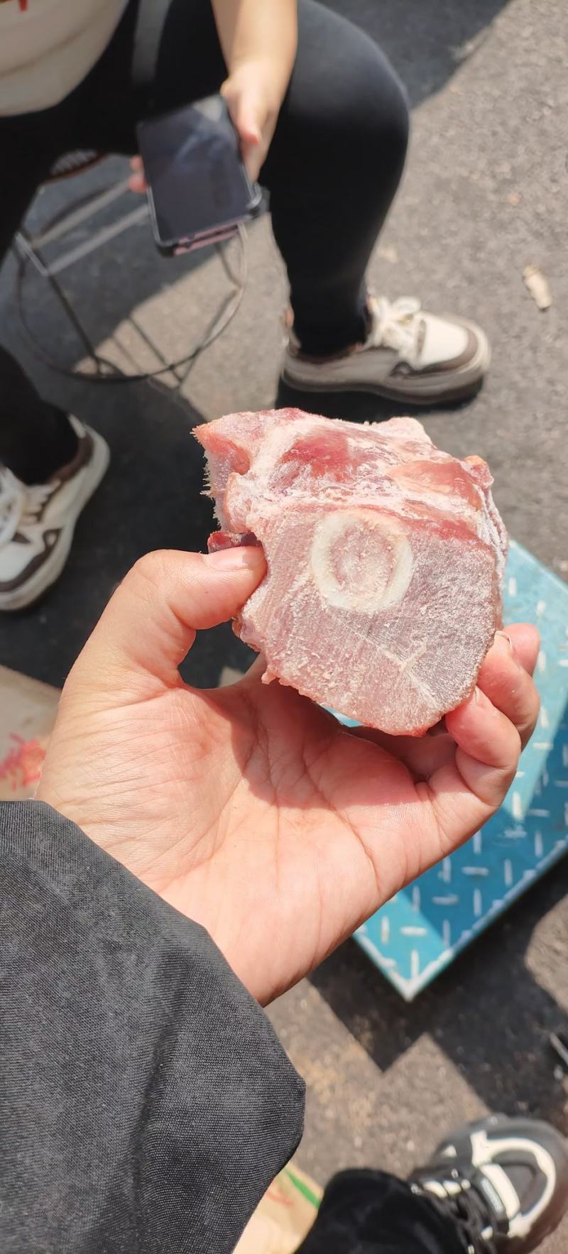 佳乐带腱前腿骨块