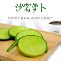 天津沙窝村现拔水果萝卜冰淇淋萝卜