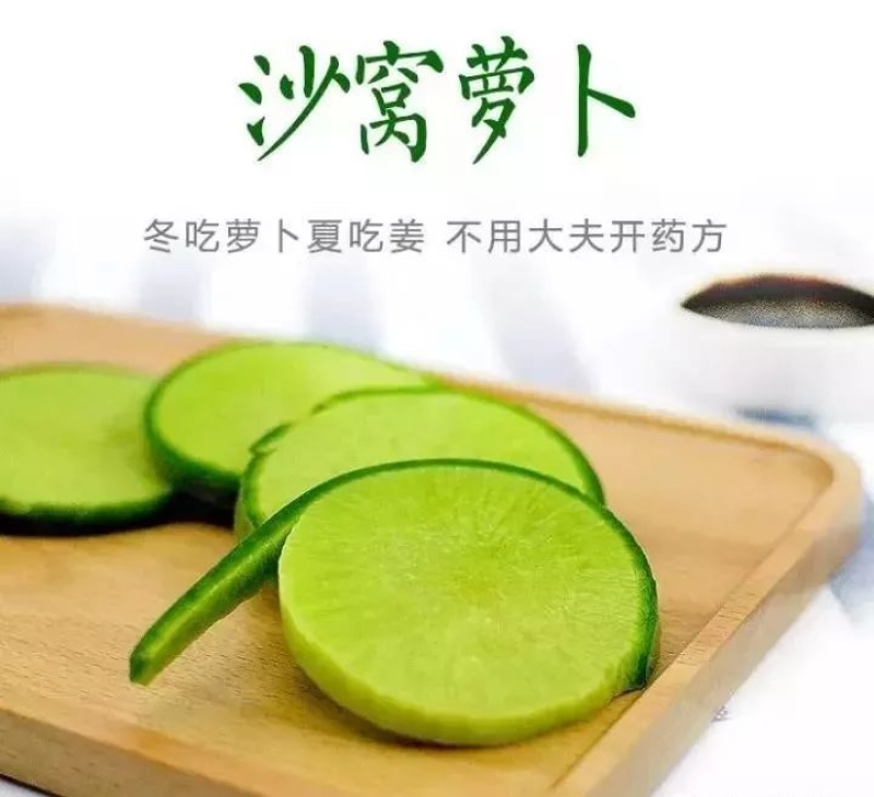 天津沙窝村现拔水果萝卜冰淇淋萝卜