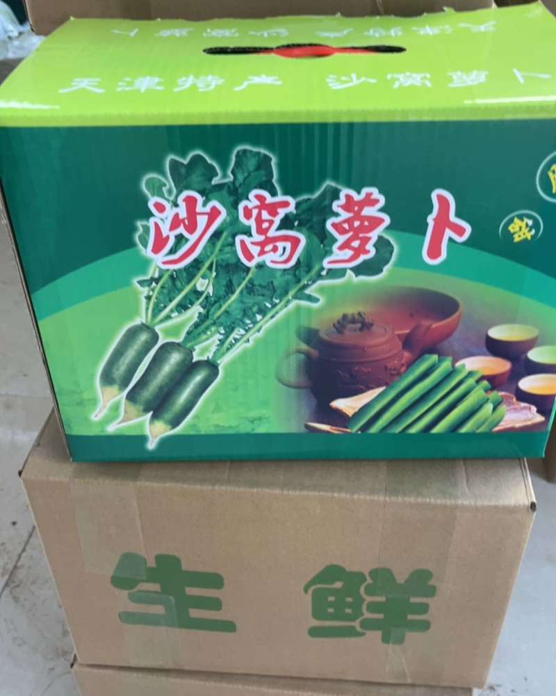 天津沙窝村现拔水果萝卜冰淇淋萝卜
