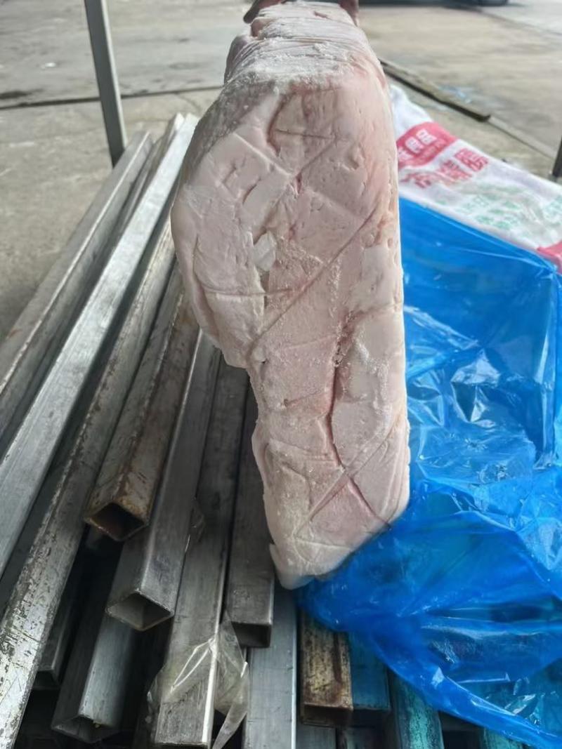母猪精品肥膘，熬猪油膘油，长期供应欢迎电话咨询购买