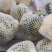 菜花大量上市了。欢迎新老客户前来购买