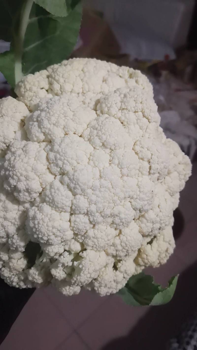 菜花大量上市了。欢迎新老客户前来购买