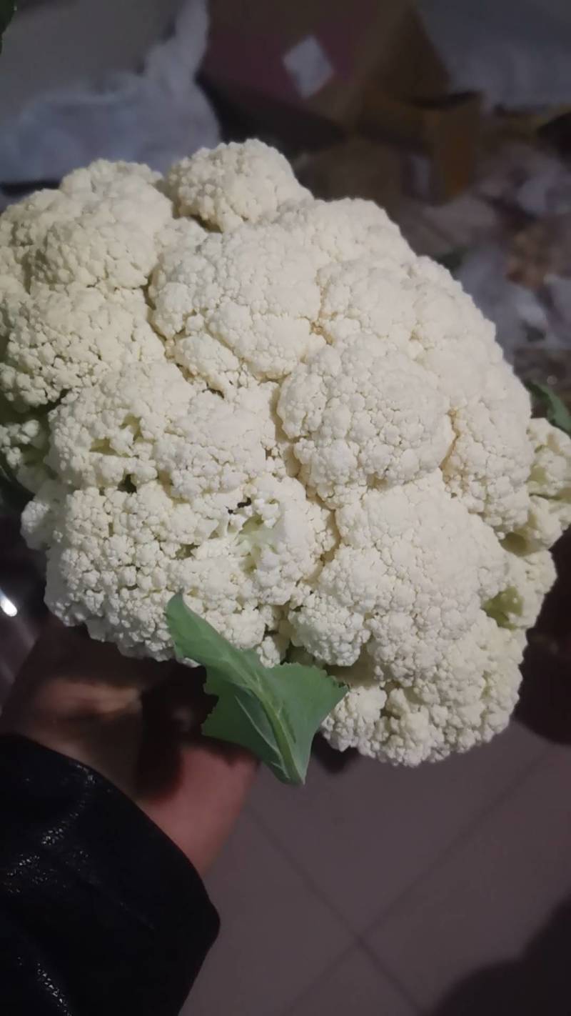 菜花大量上市了。欢迎新老客户前来购买