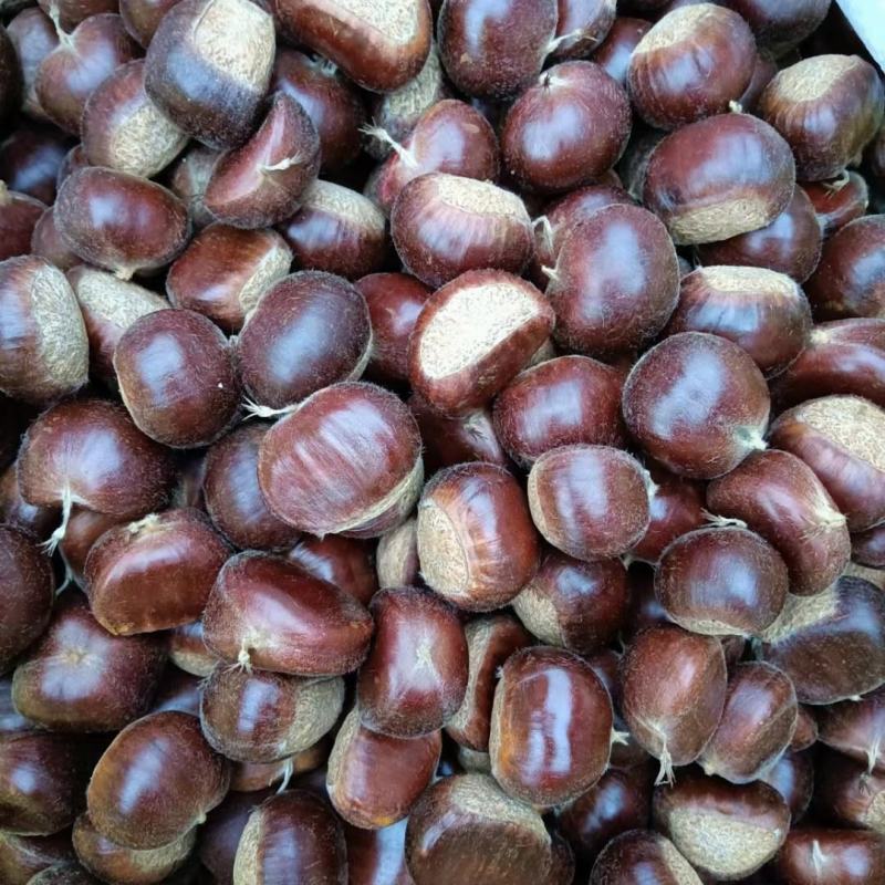 正宗迁西板栗，特选，大标，小标