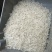 广东本地晚稻香雪米白饭香成数可达65基本无白米碎米