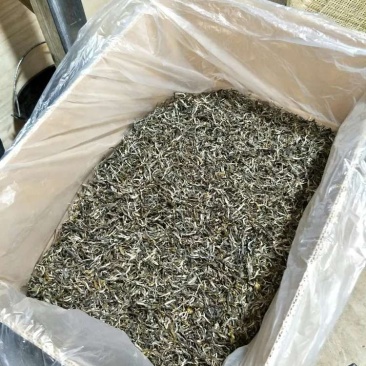 慢遮古树普洱茶（100克/袋）