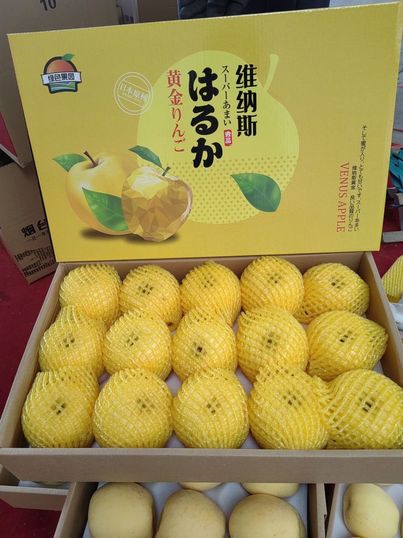 烟台红富士苹果，维纳斯苹果