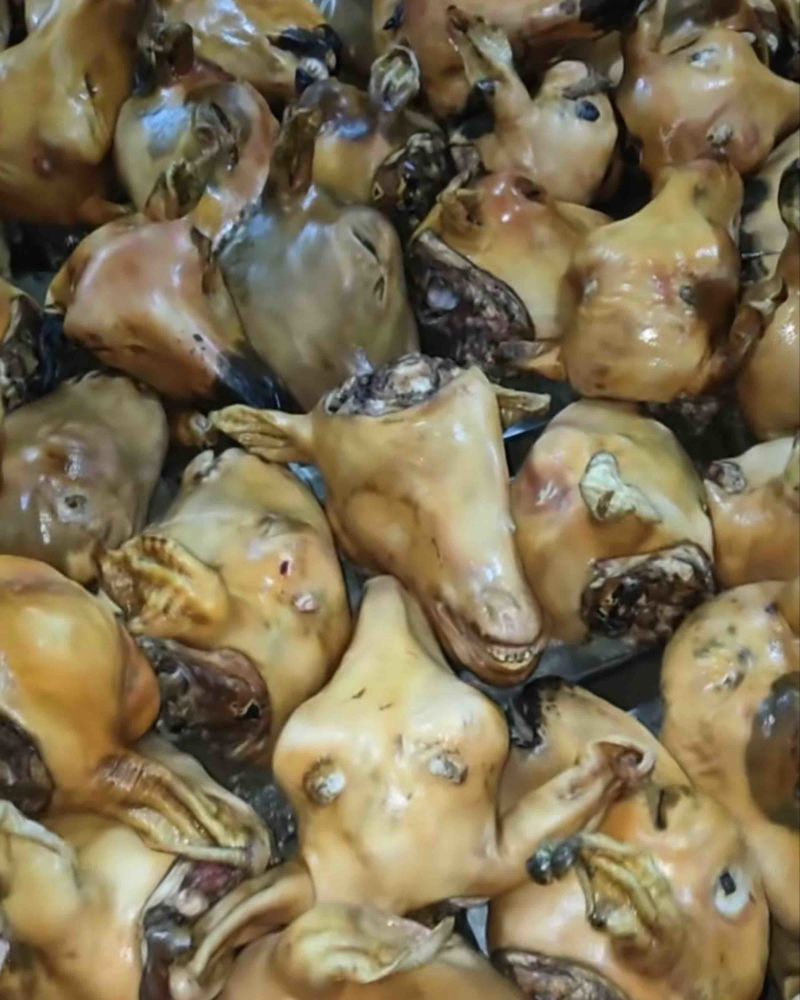 火烧羊头