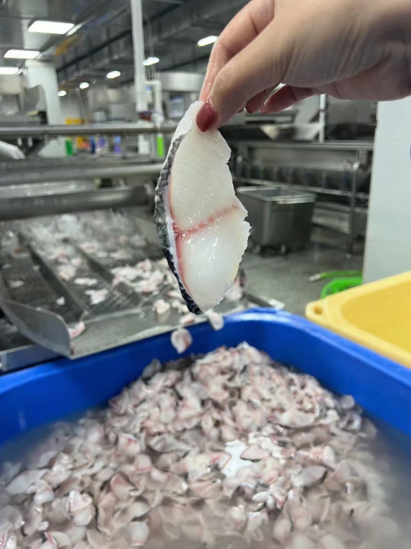 美鲜港免浆黑鱼片（餐饮店爆品食材）每片都是精选优质鱼肉