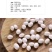 小白芸豆珍珠豆云南特产小白芸豆白豆炖菜煲汤云南农家豆类杂粮