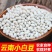 小白芸豆珍珠豆云南特产小白芸豆白豆炖菜煲汤云南农家豆类杂粮