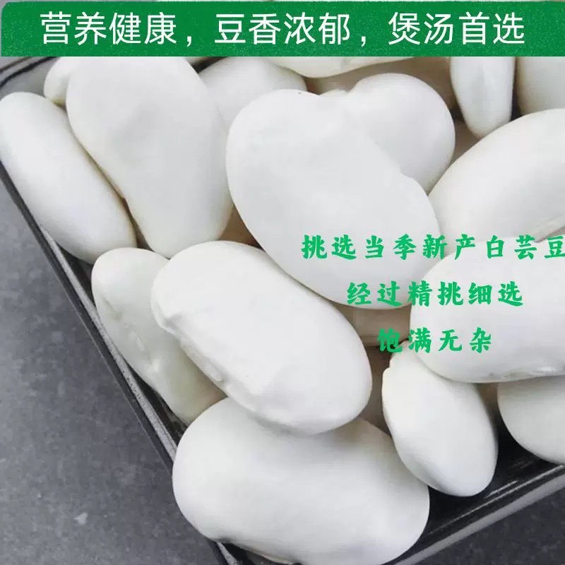 云南大理白芸豆大粒干货新豆干货农家自种五谷杂粮主食