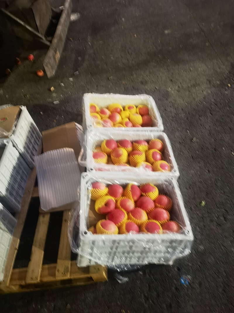 辽宁寒富苹果