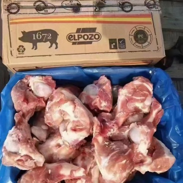 1672前腿骨