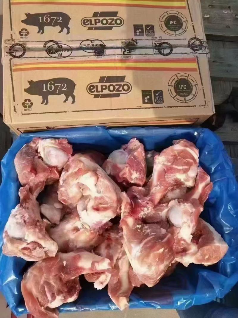 1672前腿骨