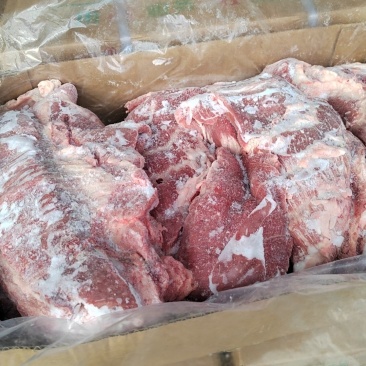 母猪三线肉2吨左右新货新开