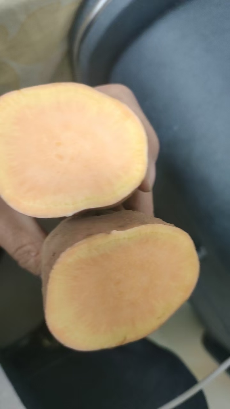 黄皮黄壤软糯香甜