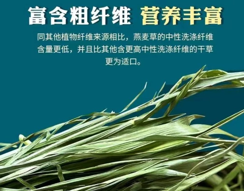 优质燕麦草，需要联系