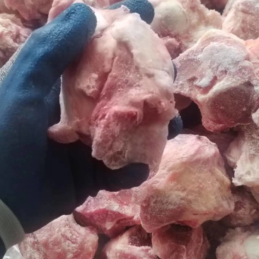 多肉棒骨