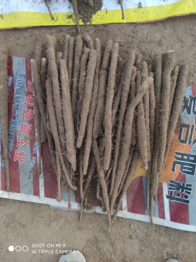 几毛货出