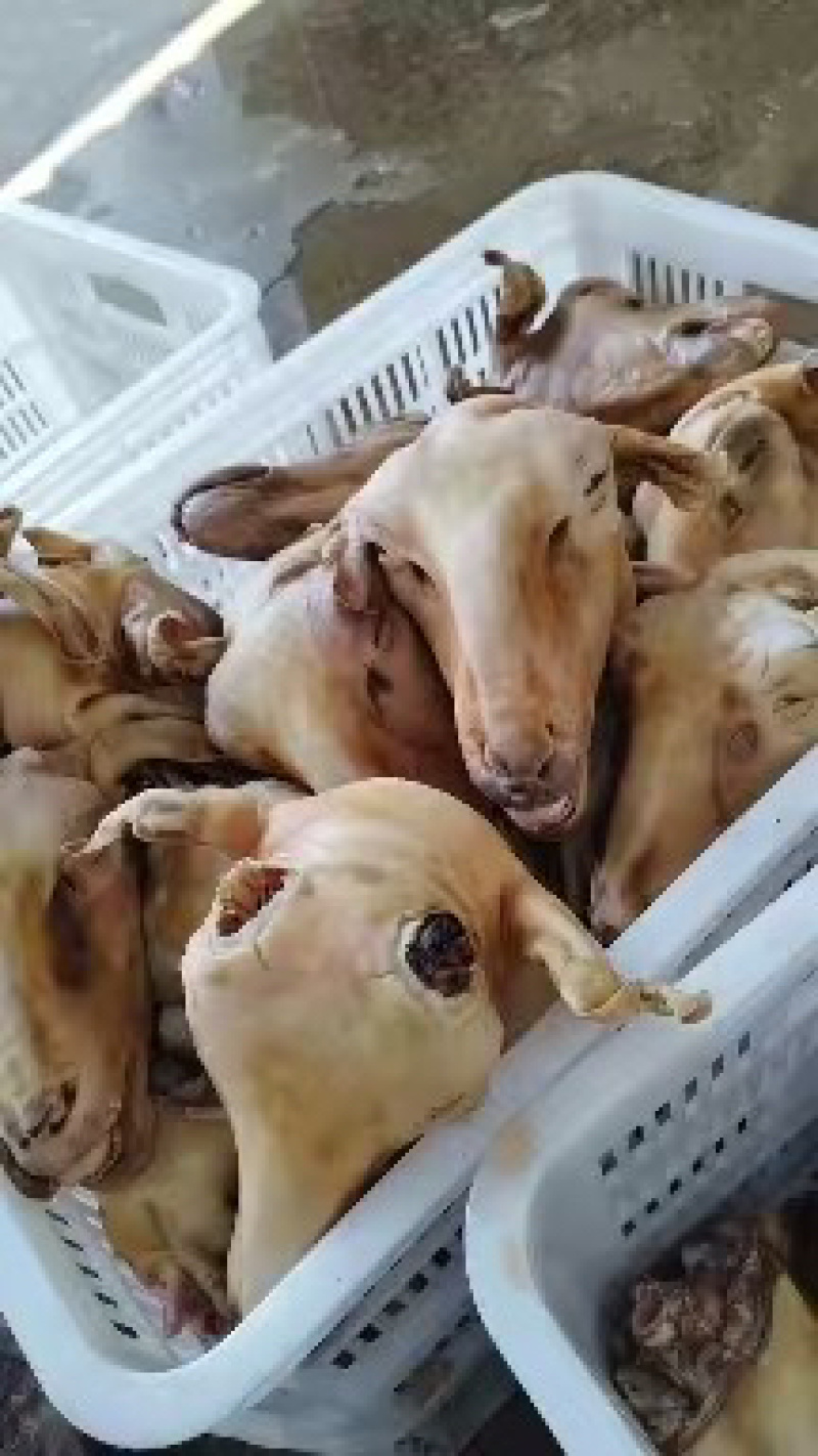 火烧羊头