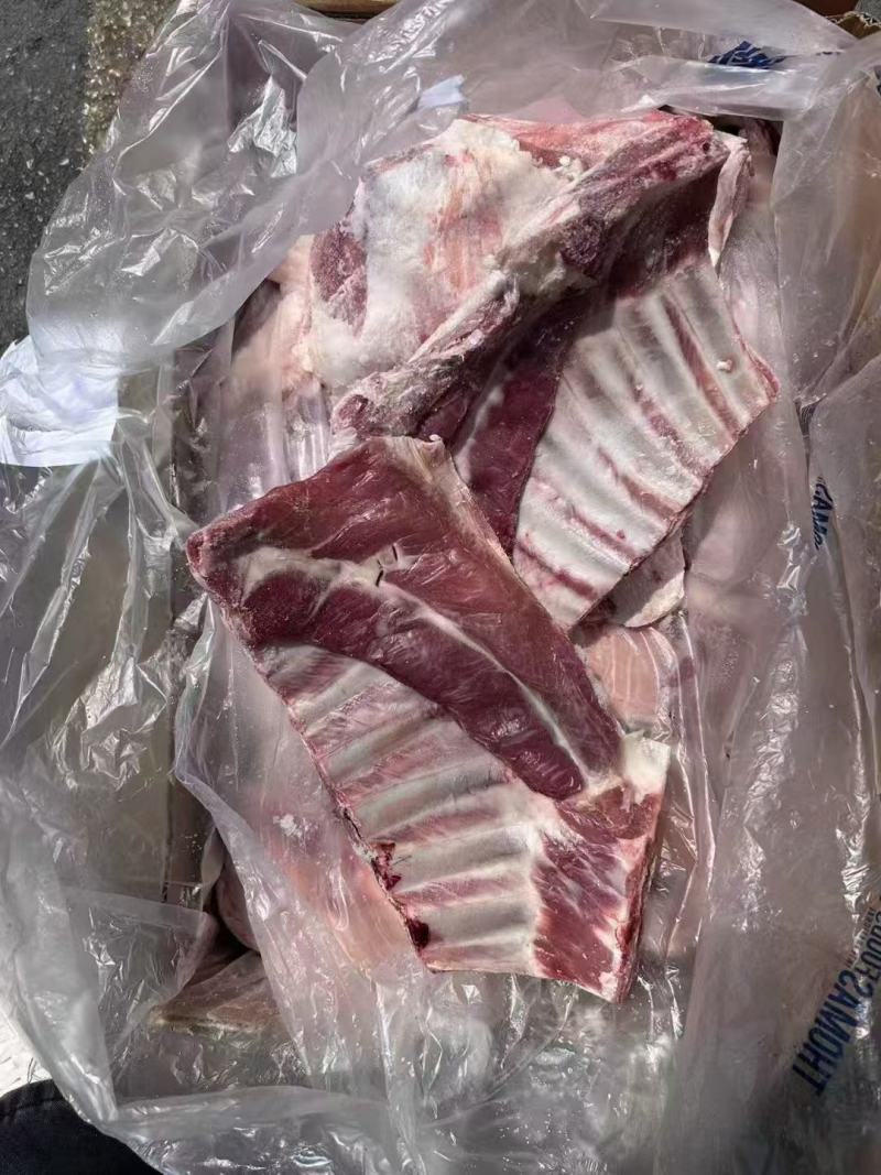 羔羊纯排