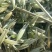 优质全绿燕麦草，无霉变，大捆一捆290公斤左右，需要联系