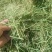 优质苜蓿草，水分干，蛋白高，无霉变
