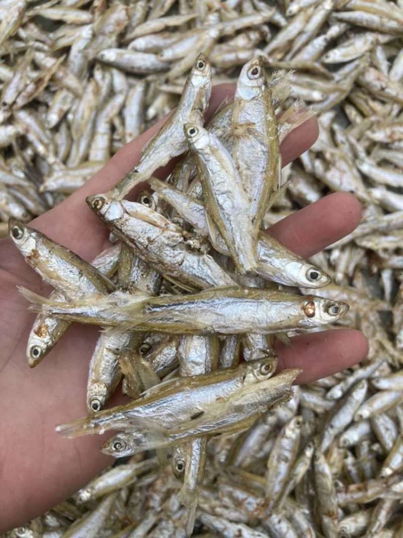 江西特产原生态农家自制淡水小鱼干人吃的小河鱼小溪鱼干