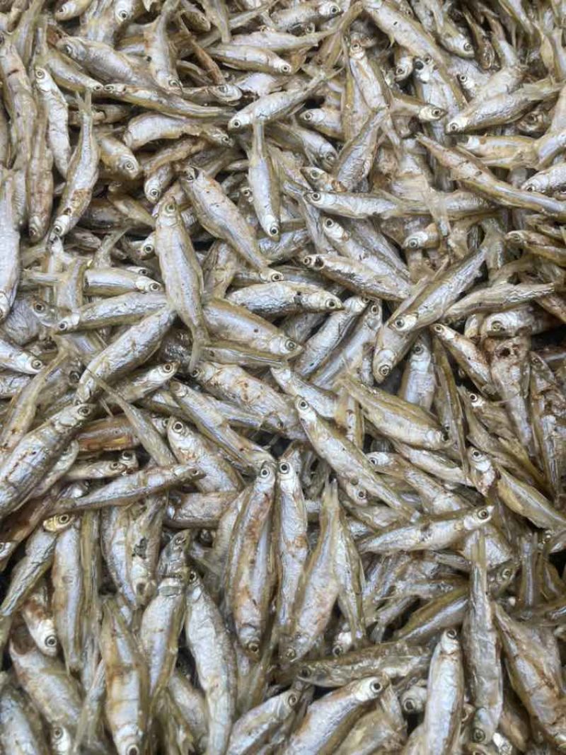 江西特产原生态农家自制淡水小鱼干人吃的小河鱼小溪鱼干