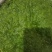 韭花酱，欢迎各大电商，线下，